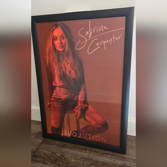 Sabrina Carpenter Evolution Poster ~20x14 - Picture 1 of 8